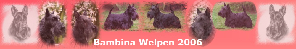 Bambina Welpen 2006