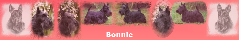 Bonnie